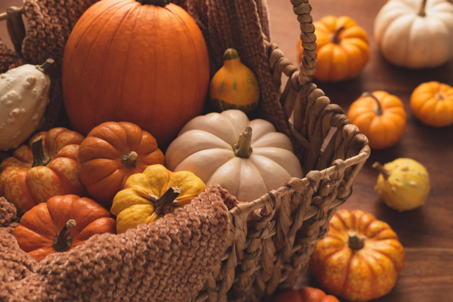 Fall Favorites
